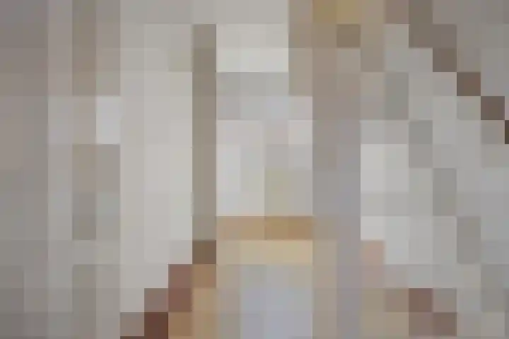 Groenstraat 5 Herpt thumbnail 25