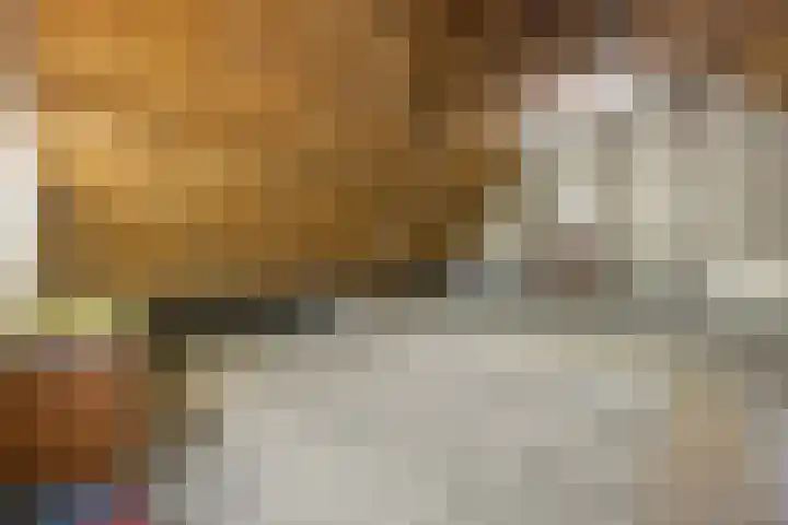 Groenstraat 5 Herpt thumbnail 38