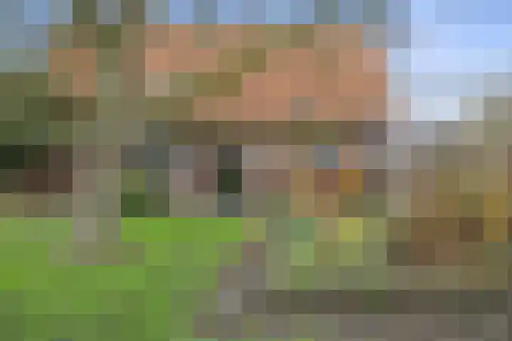 Groenstraat 5 Herpt thumbnail 44