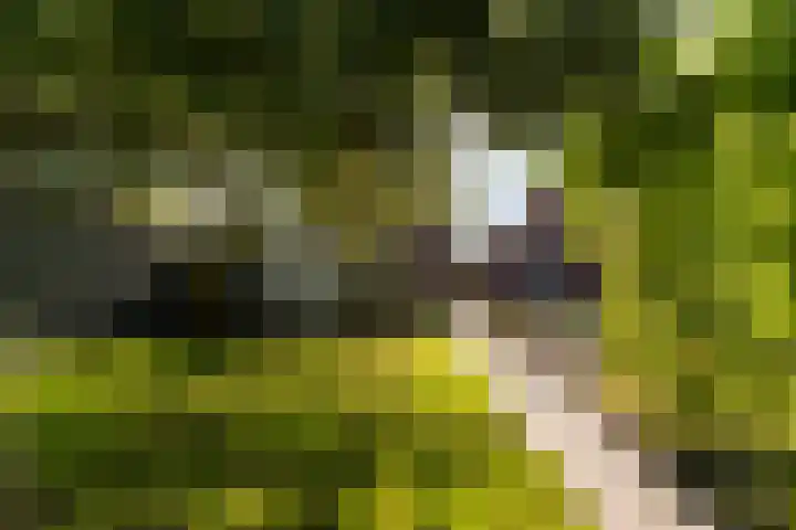 Groeperweg 7 Renswoude thumbnail 31