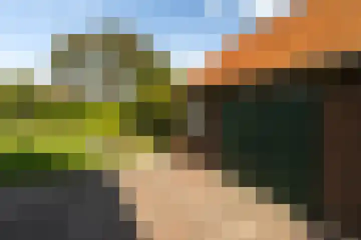 Groeperweg 7 Renswoude thumbnail 32