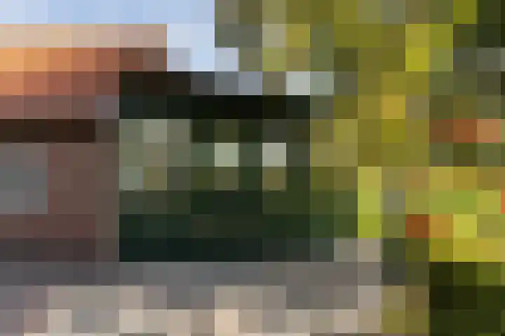 Groeperweg 7 Renswoude thumbnail 33