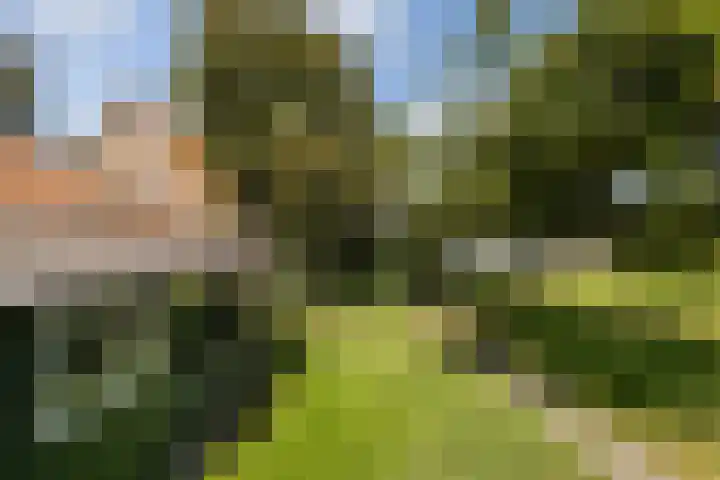 Groeperweg 7 Renswoude thumbnail 35