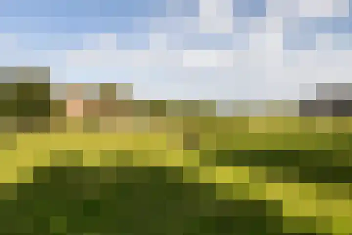 Groeperweg 7 Renswoude thumbnail 37