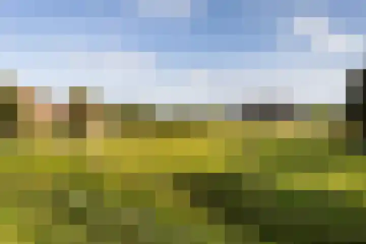 Groeperweg 7 Renswoude thumbnail 38