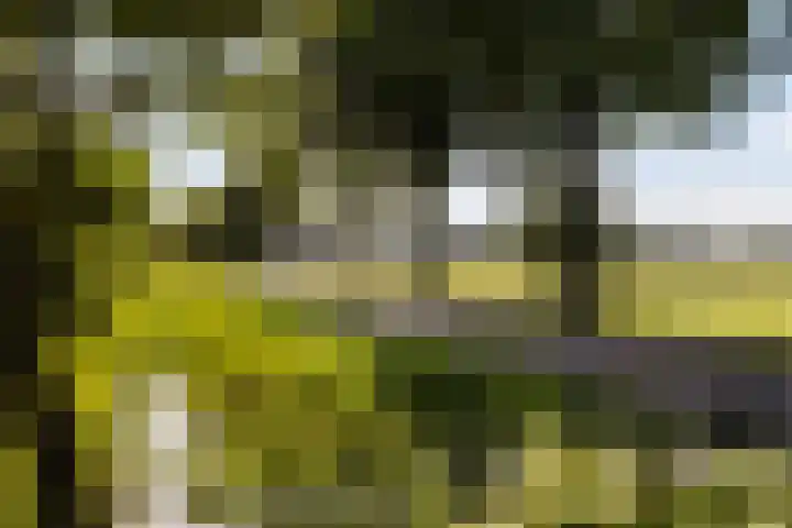 Groeperweg 7 Renswoude thumbnail 40