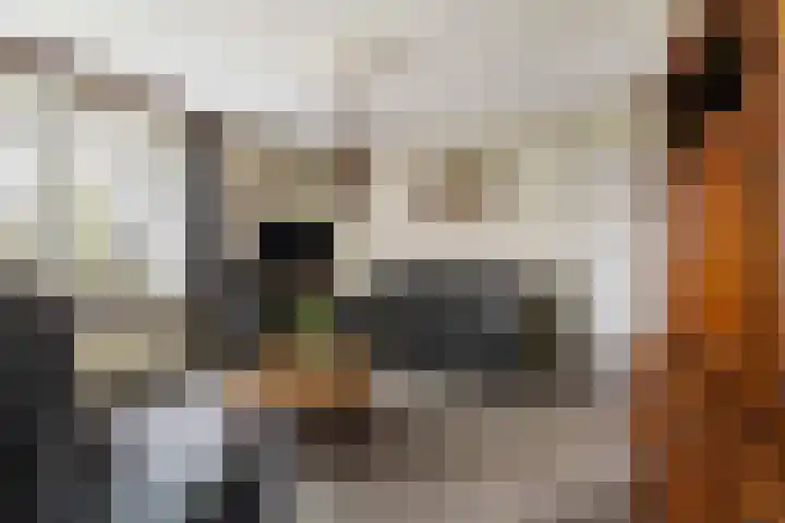 Groeperweg 7 Renswoude thumbnail 5