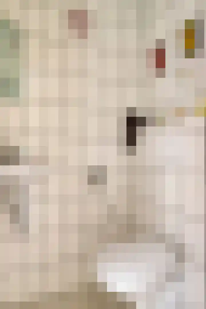 Groes 13 Eindhoven thumbnail 13
