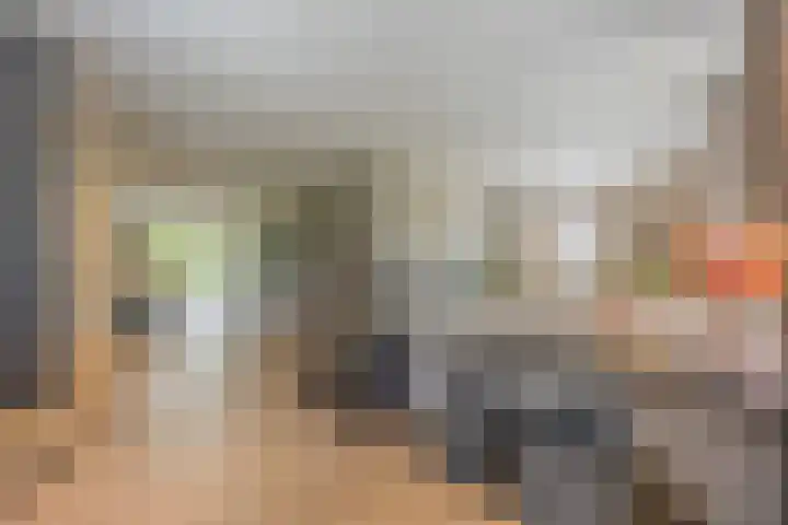 Groeskuilen 107 Gemert thumbnail 12