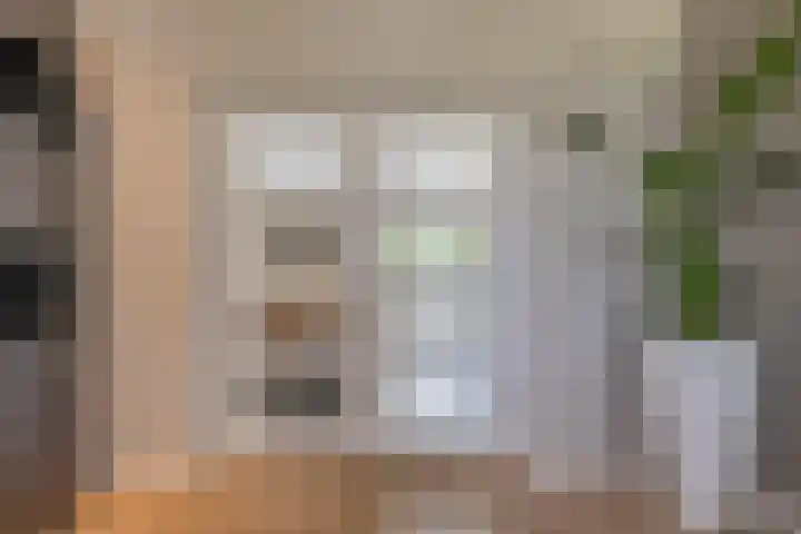 Groeskuilen 107 Gemert thumbnail 13