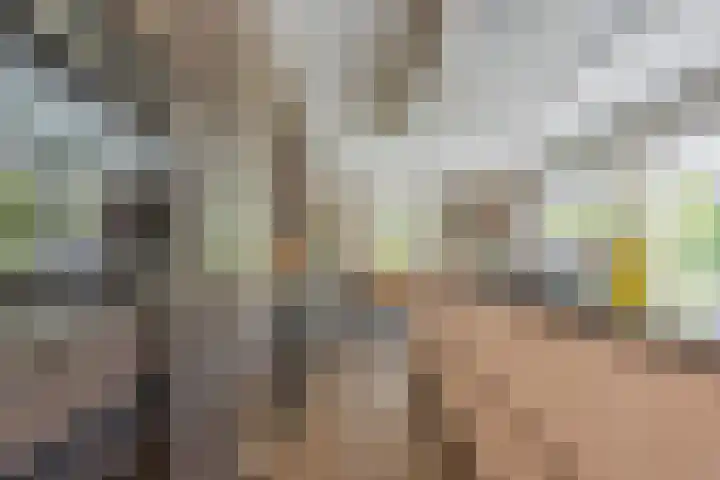 Groeskuilen 107 Gemert thumbnail 18