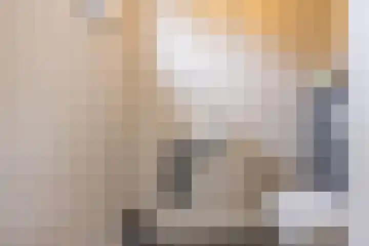 Groeskuilen 107 Gemert thumbnail 23