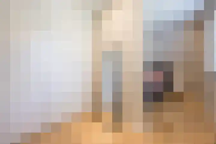 Groeskuilen 107 Gemert thumbnail 34