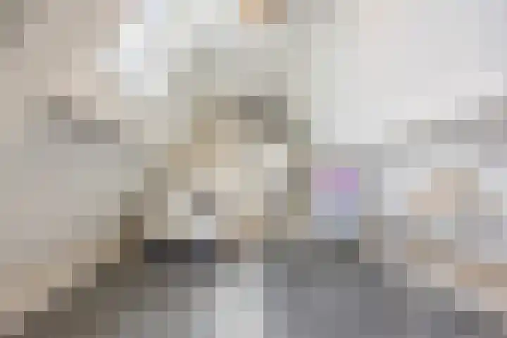 Groeskuilen 107 Gemert thumbnail 39