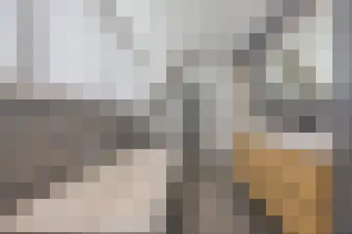 Groeskuilen 107 Gemert thumbnail 4