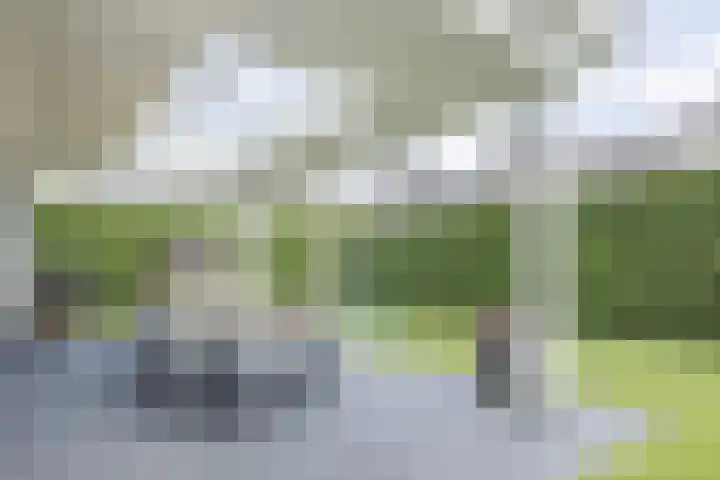 Groeskuilen 107 Gemert thumbnail 49