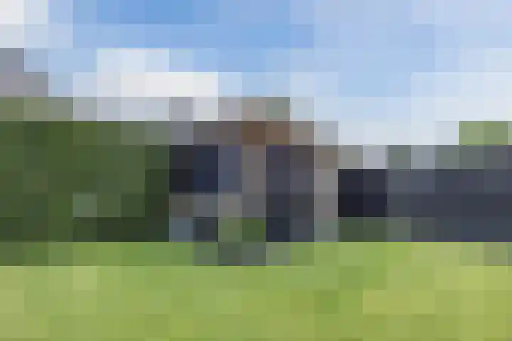 Groeskuilen 107 Gemert thumbnail 50
