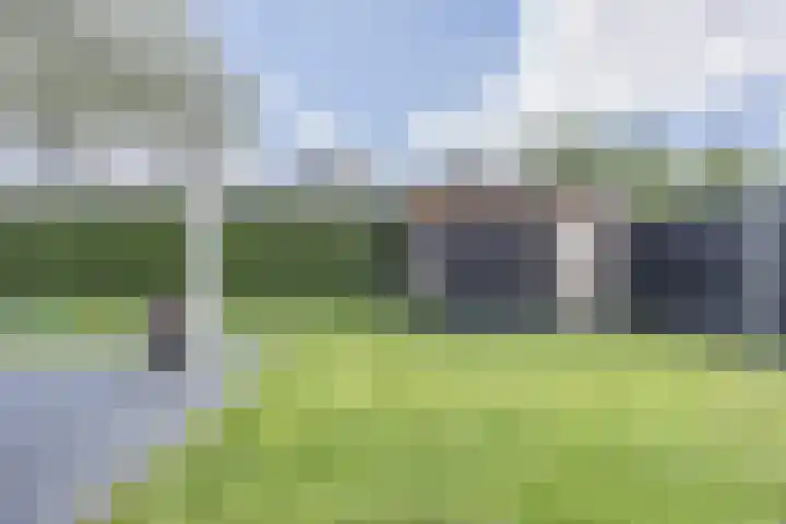 Groeskuilen 107 Gemert thumbnail 51