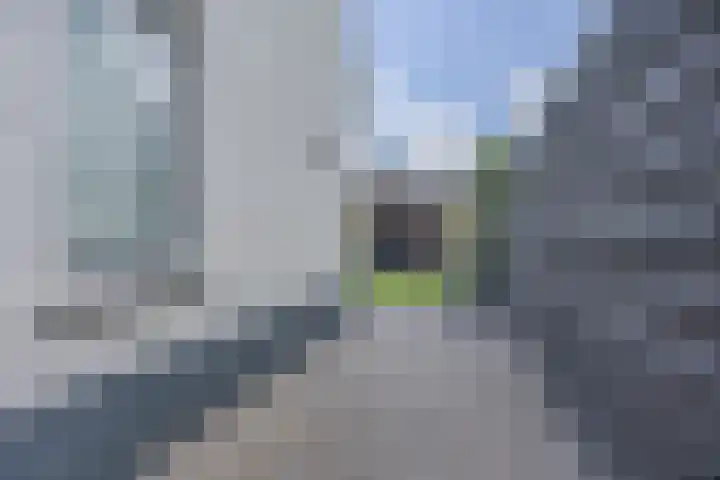 Groeskuilen 107 Gemert thumbnail 52