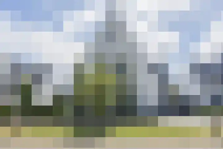 Groeskuilen 107 Gemert thumbnail 54