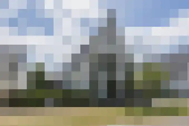 Groeskuilen 107 Gemert thumbnail 56