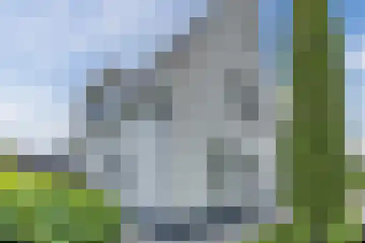 Groeskuilen 107 Gemert thumbnail 57