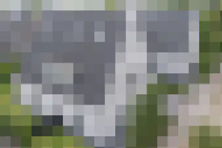 Groeskuilen 107 Gemert thumbnail 58