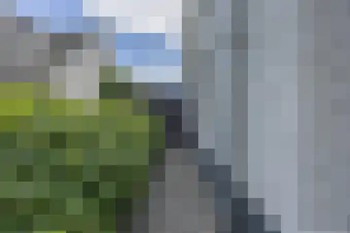 Groeskuilen 107 Gemert thumbnail 59