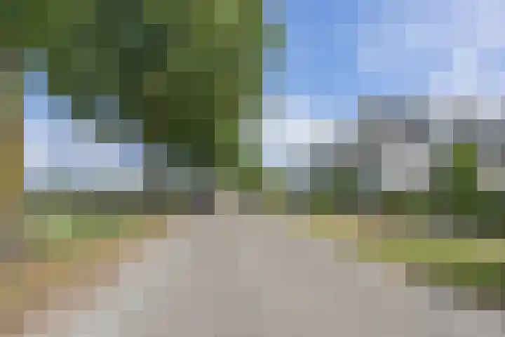 Groeskuilen 107 Gemert thumbnail 60