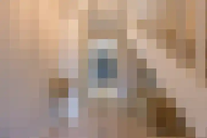 Groeskuilen 107 Gemert thumbnail 8