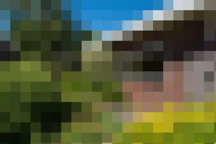 Groevelaan 3 Leek thumbnail 34