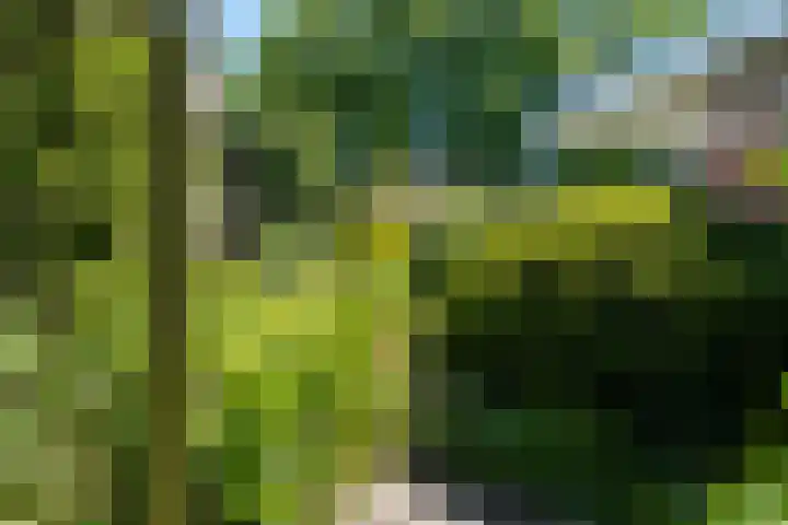 Groevelaan 3 Leek thumbnail 37