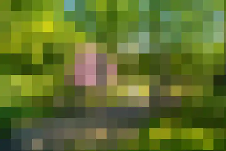 Groevelaan 3 Leek thumbnail 40