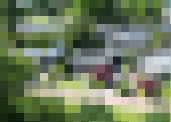 Groevelaan 3 Leek thumbnail 43