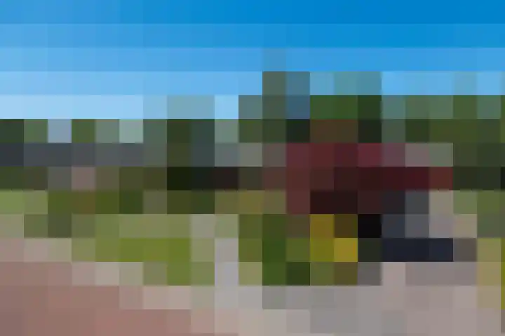 Groevelaan 3 Leek thumbnail 6