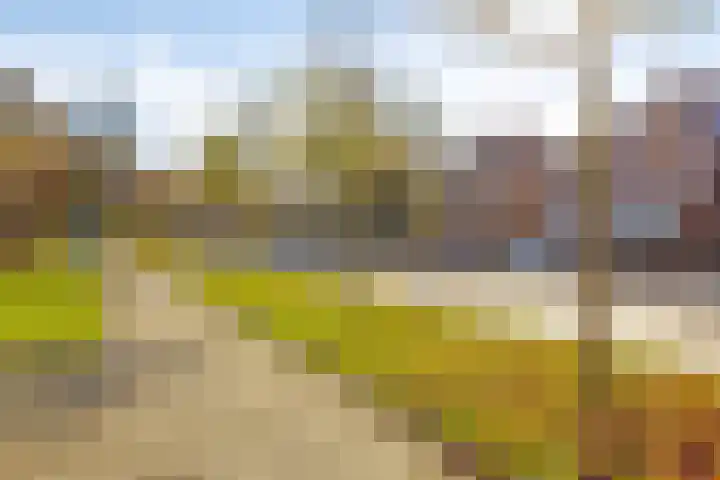 Gronausevoetpad 107 Enschede thumbnail 37