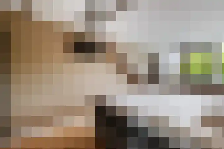 Grondel 45 Huizen thumbnail 14