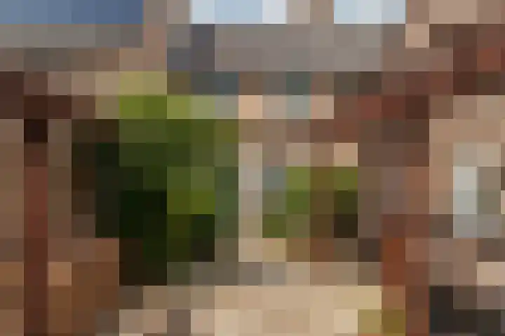 Grondel 45 Huizen thumbnail 20