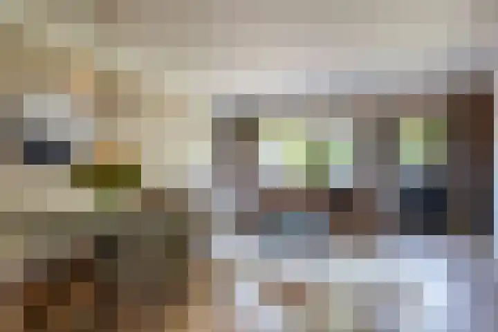 Grondel 45 Huizen thumbnail 4