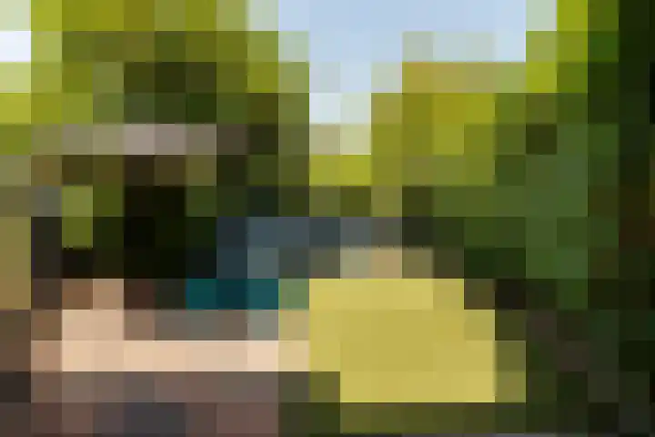 Grondel 45 Huizen thumbnail 9
