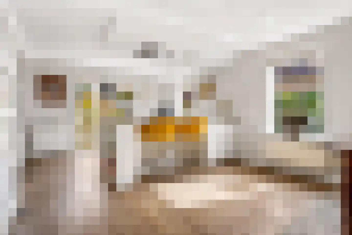 Grondel 8 Zeewolde thumbnail 10