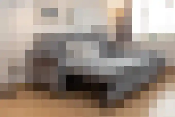 Grondel 8 Zeewolde thumbnail 58