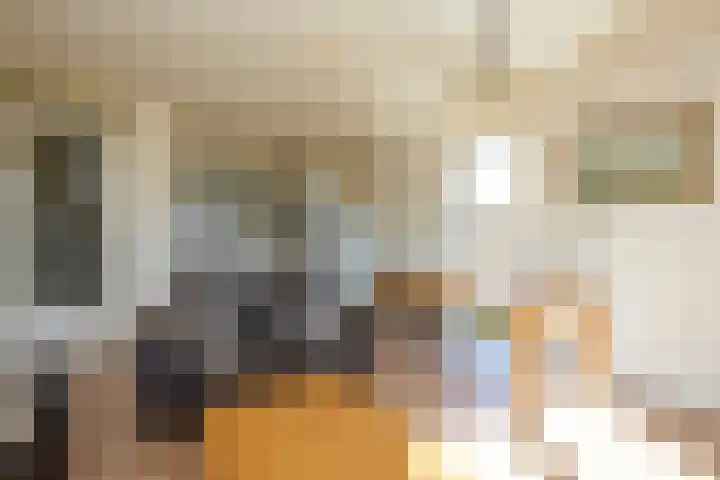 Grondel 9 Avenhorn thumbnail 19