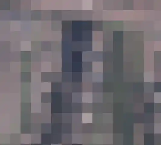 Grondel 9 Avenhorn thumbnail 38