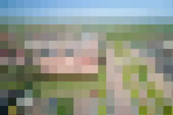 Grondel 9 Avenhorn thumbnail 5