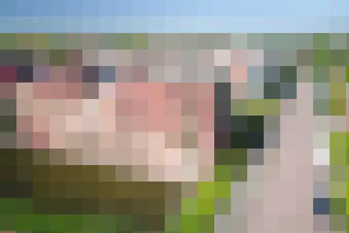Grondel 9 Avenhorn thumbnail 6