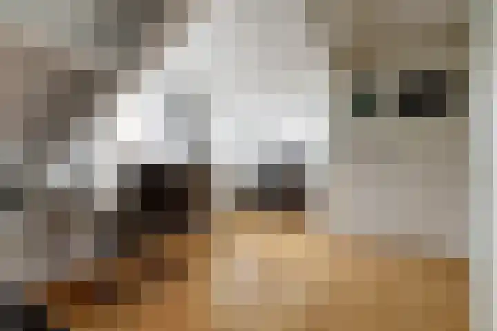 Grondmolen 2 Vianen thumbnail 4