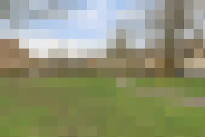 Grondmolen 2 Vianen thumbnail 52