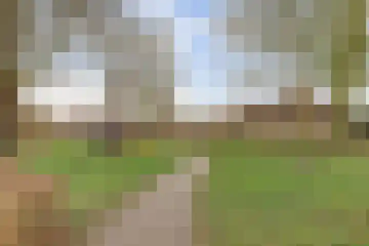 Grondmolen 2 Vianen thumbnail 53