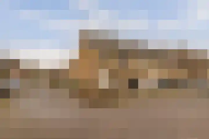 Grondmolen 2 Vianen thumbnail 7